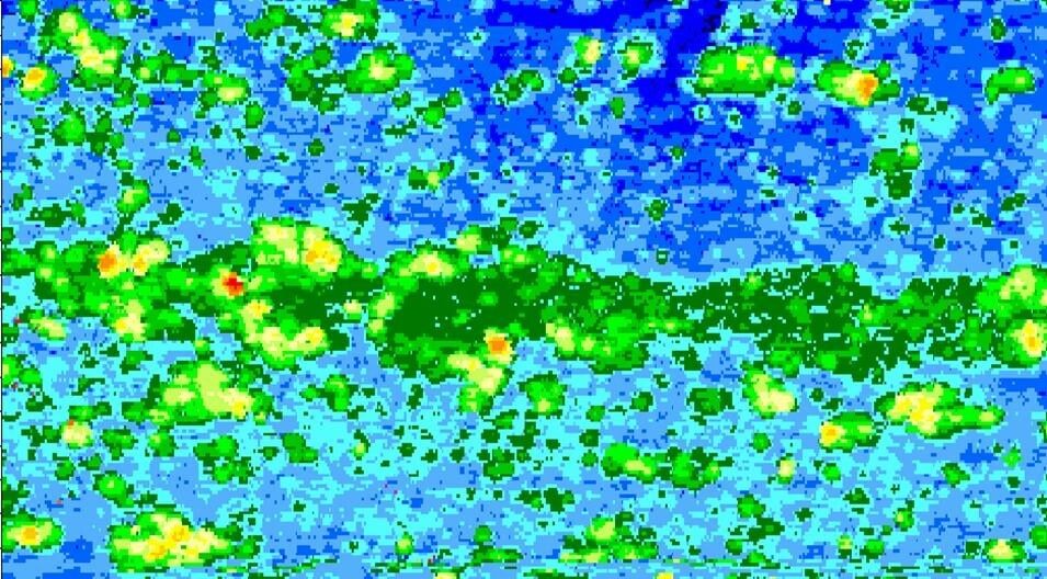 High-resolution ultrasonic corrosion map.